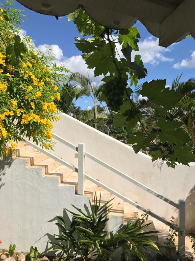 Pousada Papaya Jijoca de Jericoacoara Εξωτερικό φωτογραφία