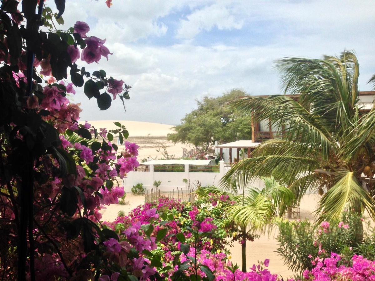 Pousada Papaya Jijoca de Jericoacoara Εξωτερικό φωτογραφία